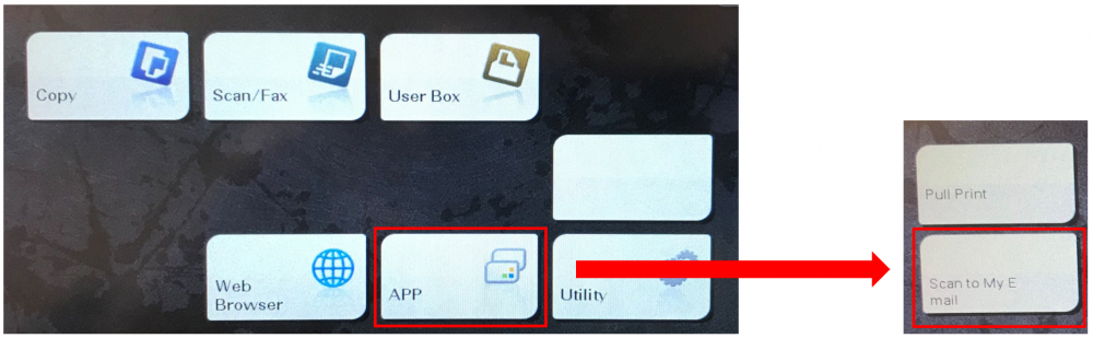 scanfeature-km.png